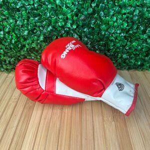 Vintage 1991 Warner Bros Bing Bang Boom Band Highway 101 Mini Boxing Gloves 8"
